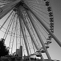 Chicago 146